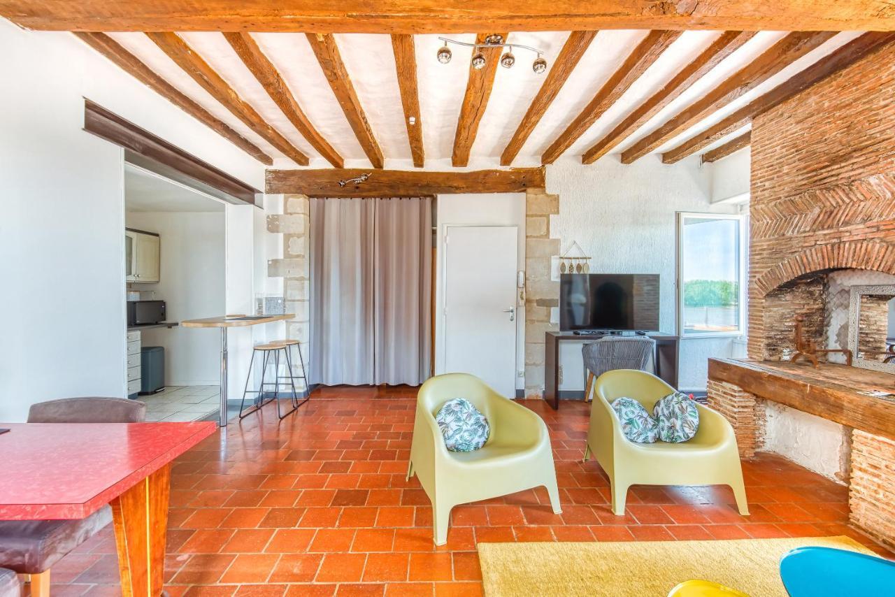 Monkey Paradise Bel Appartement Vue Loire Bouchemaine Esterno foto